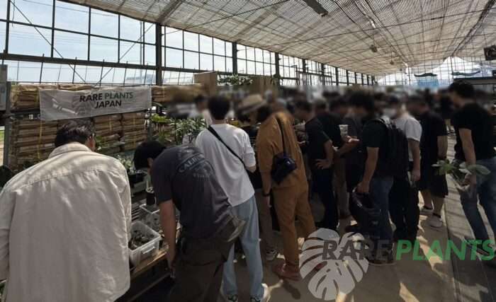 PLANTS JAMBOREE(プランツジャンボリー)へのご来場