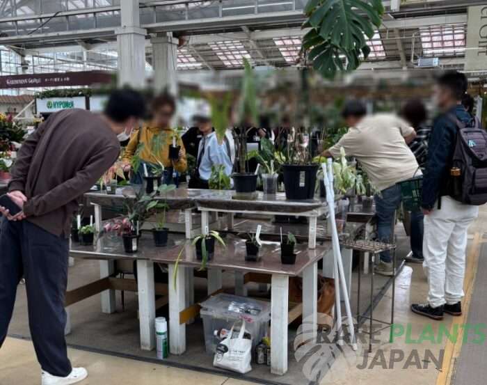 ジョイフル本田千葉ニュータウン店での直売イベント