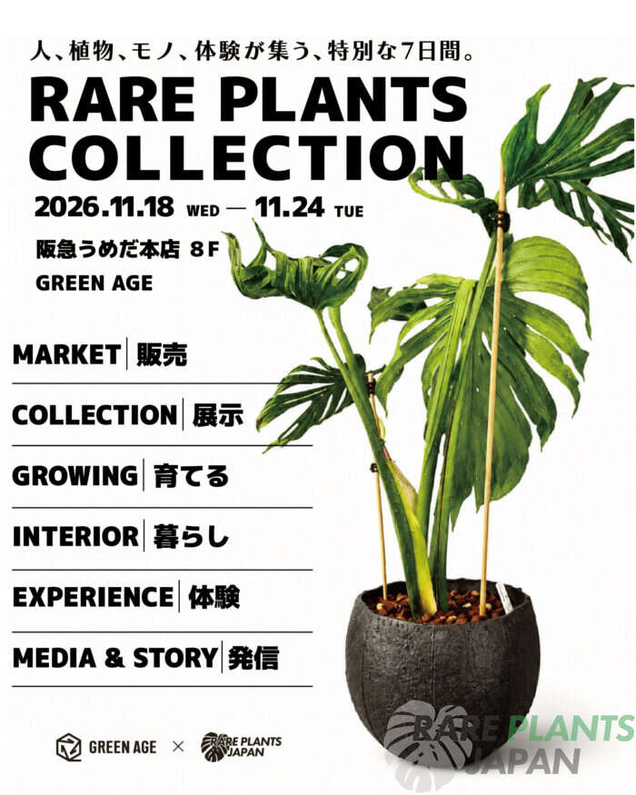 RARE PLANTS COLLECTIONを楽しむ6つのテーマを公開